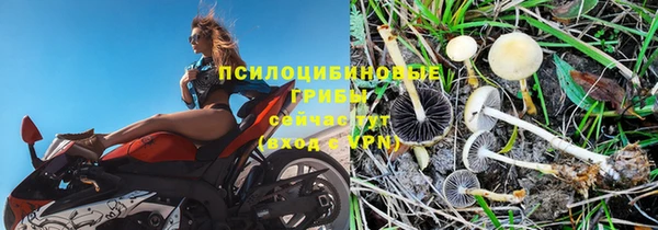 трава Заволжье