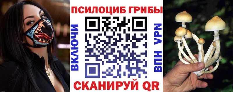 hydra цены наркотик Калининск Псилоцибиновые грибы Cubensis